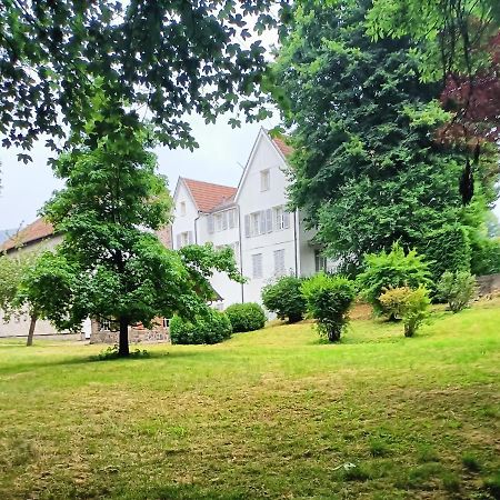 Domaine De La Moselle Bed & Breakfast Saint Maurice sur Moselle Bagian luar foto