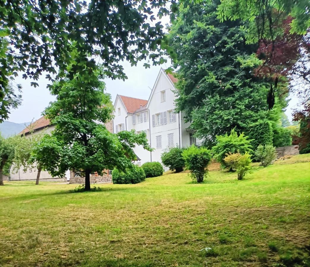 Domaine De La Moselle Bed & Breakfast Saint Maurice sur Moselle Bagian luar foto